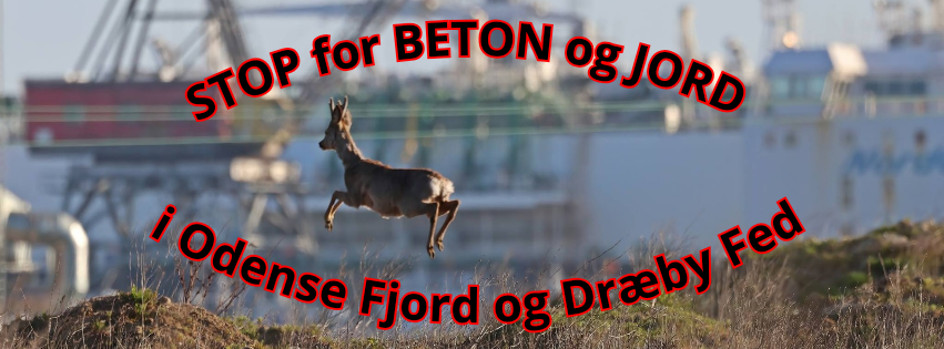 Kopi_af_STOP_for_mere_BETON_i_Odense_Fjord_og_Dræby_Fed!_20240905_212326_0000_(003).png